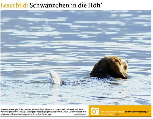 Leserbild Berner Zeitung und Thuner Tagblatt 18.Juli 2015