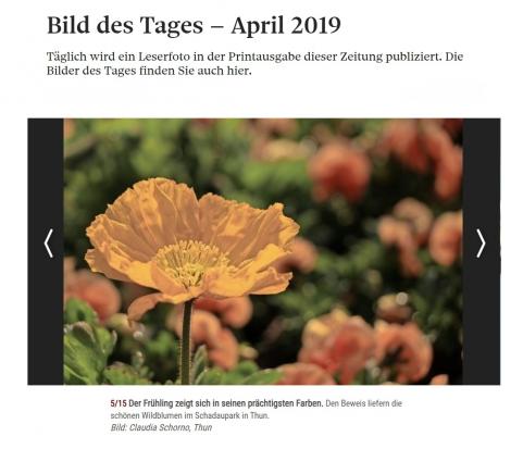 Bild des Tages Berner Zeitung April 2019