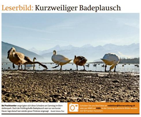 Leserbild Berner Zeitung und Thuner Tagblatt 8.Februar 2016