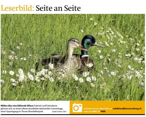Leserbild Berner Zeitung und Thuner Tagblatt 17. Juni2013
