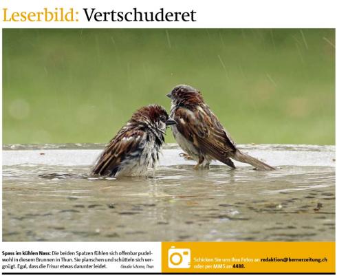 Leserbild Berner Zeitung und Thuner Tagblatt 19. September2013