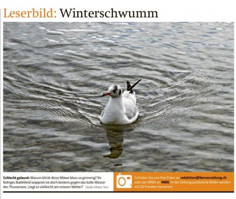 Leserbild Berner Zeitung und Thuner Tagblatt 9.Januar 2018